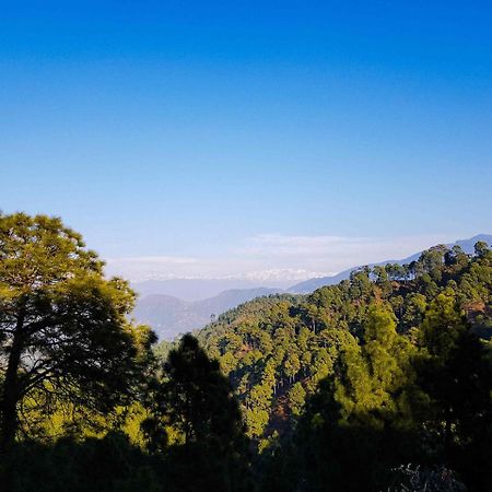 Hotel Homely Abode Dalhousie Exterior photo